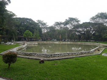 Examples of Water Pond at USU Campus (Near Central Library) 3
