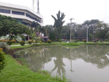 Examples of Water Pond at USU Campus (Near Central Library)