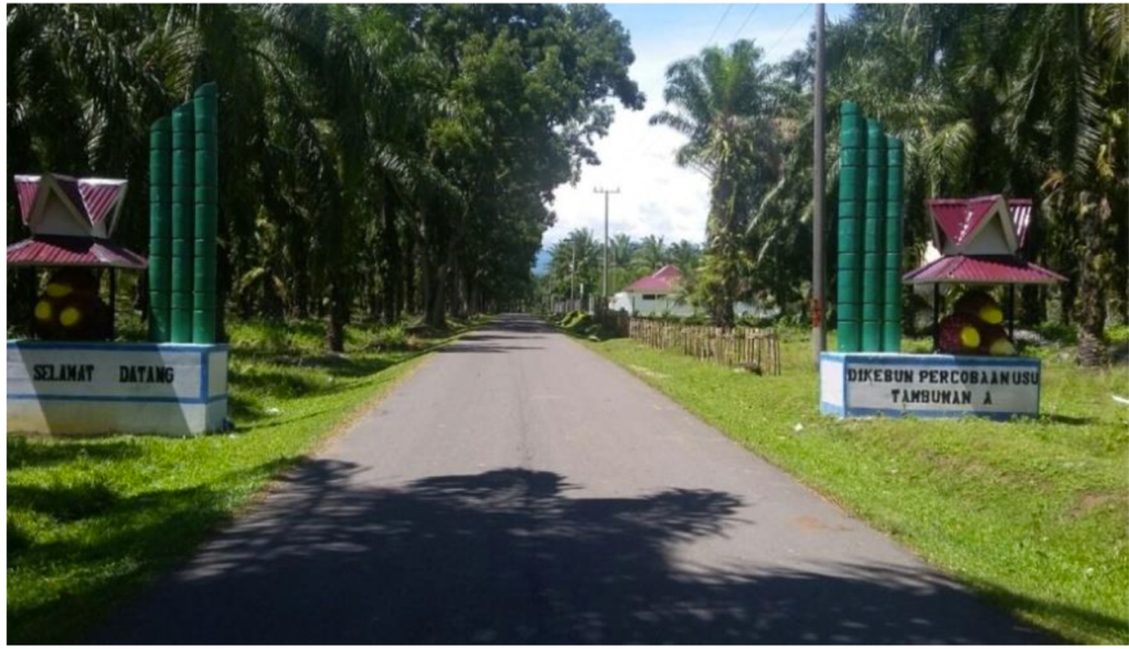 Kebun Percobaan Tambunan A