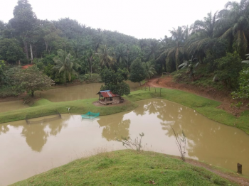 Water Pond at Tambunan A Campus Site